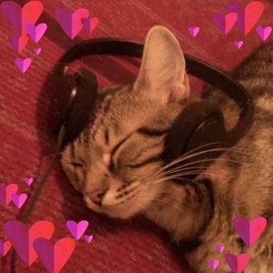 Meet your Posher, Leanne